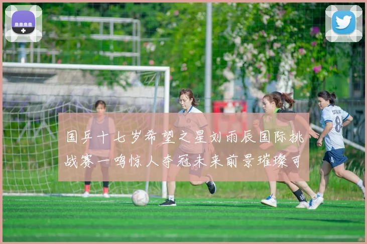 国乒十七岁希望之星刘雨辰国际挑战赛一鸣惊人夺冠未来前景璀璨可期